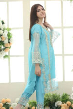 Sapphire – 3pcs Dhanak Emb With Dhanak Emb Shawl – 3133 - Image 5