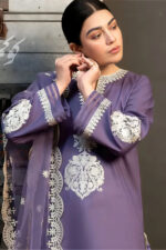 Kokum – 3pcs Dhanak Emb With Dhanak Emb Shawl – 679 - Image 4