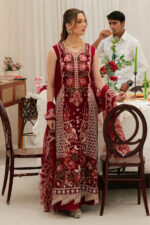 Mahnur – 3pcs Chicken Kari Dhanak With Ready To Wear Dhanak Shawl – 849