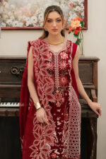 Mahnur – 3pcs Chicken Kari Dhanak With Ready To Wear Dhanak Shawl – 849 - Image 3
