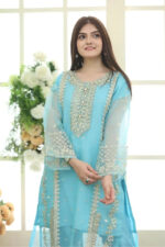 Sapphire – 3pcs Dhanak Emb With Dhanak Emb Shawl – 3133 - Image 4